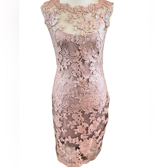 NWT Tadashi Shoji Blush Antique Pink Lace Cocktail Dress SIZE 8 - Picture 4 of 16